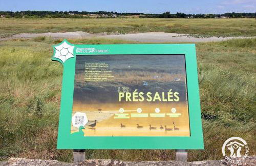 O nid des greves - Foto 38