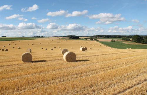 Ferienhaus Aschoff - Foto 30