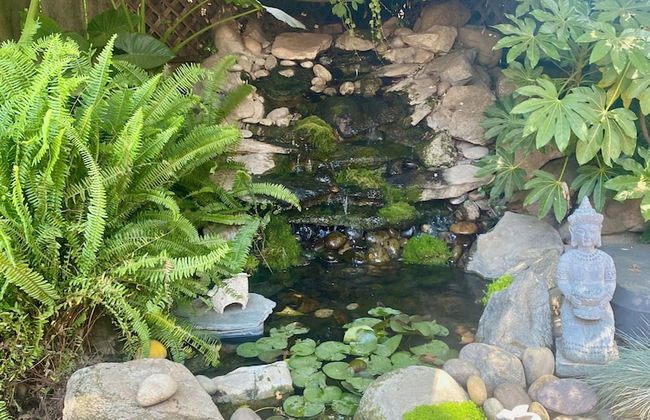 Sequoia Parks Coast Wineries Skiing-Enjoy Hot Tub Firepit Outdoor Kitchen - Foto 32