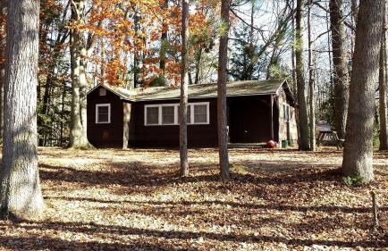 Gorgeous Getaway Cabin in the Woods near Lake Michigan in Wellston, Michigan - Foto 1