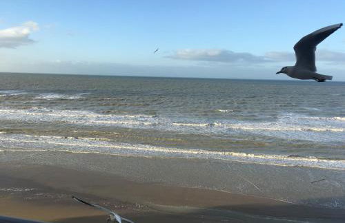 Entre dunes et mer - Foto 1