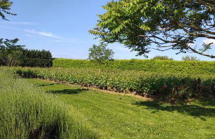 Clos des chenevières, 3 étoiles - Foto 14