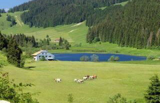 L'Atelier du Peintre - Foto 7