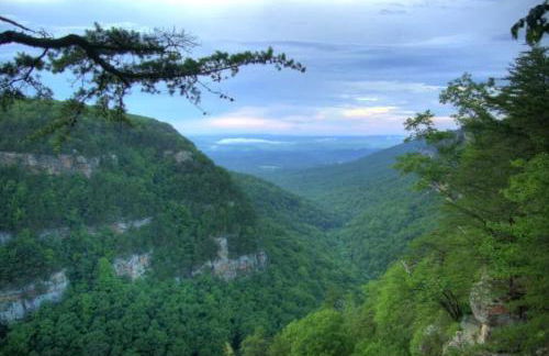 Scenic Solitude at Cabins in the Clouds - Foto 32