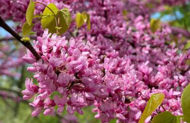 Private Oasis Near Lake Michigan & Warren Dunes! - Foto 32