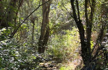 Acogedora casa rural en la sierra de Madrid - Foto 29