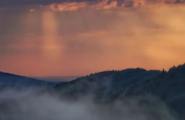 Lipowe Wzgórze - Photo 53