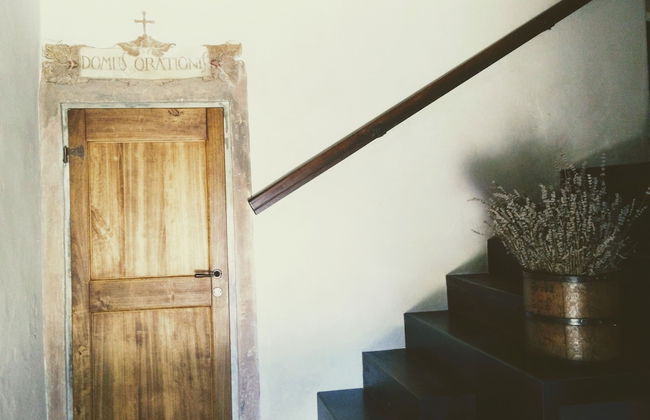 Azienda Agricola Baccagnano - Photo 31