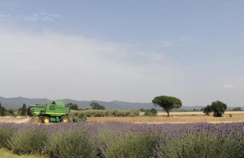 Agriturismo Susanna e Atria - Foto 45