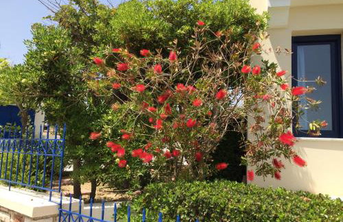 Sea Breeze Apartments Chios - Photo 48