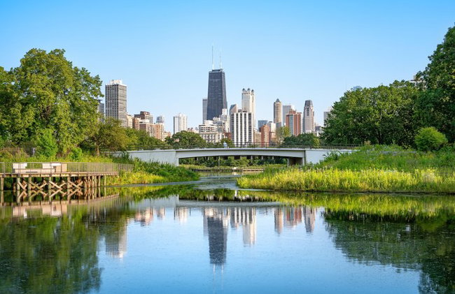 Excursion privée d'une journée à Chicago, au bord du lac et au Millennium Park - Photo 9