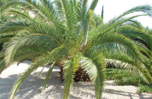 34 Sant Jordi - Foto 35