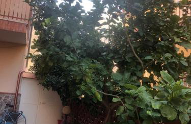 Casa Donatella a Isola - Foto 38