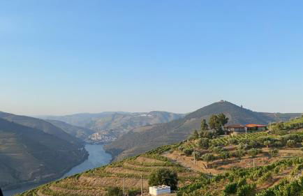 Quinta da Casa Cimeira, Guest House, Wines & Food - Foto 48