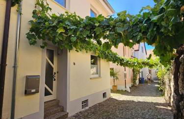 Casa Ciconia - Über den Dächern der Altstadt - Foto 20