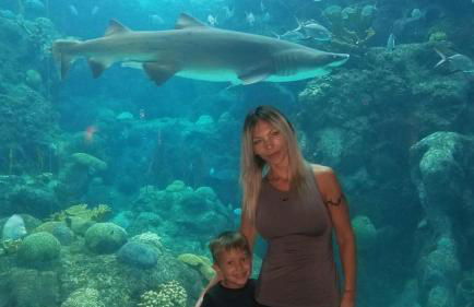 The Beach on Longboat Key - Foto 41