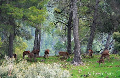 Alojamiento valeria - Foto 30