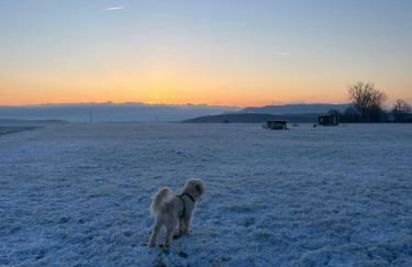 Landhaus-Villa auf dem Berg - Foto 68
