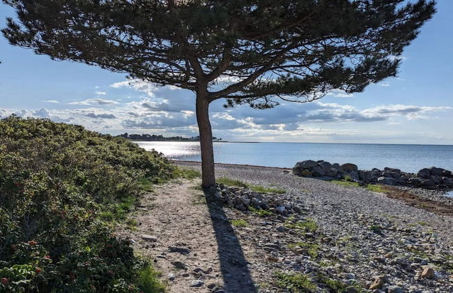 6 Person Holiday Home in Gorlev - Photo 51