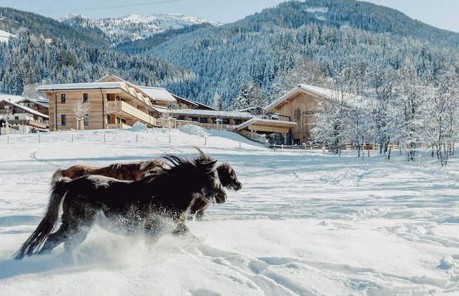Mariengut - Aparthotel Kramer - Foto 66