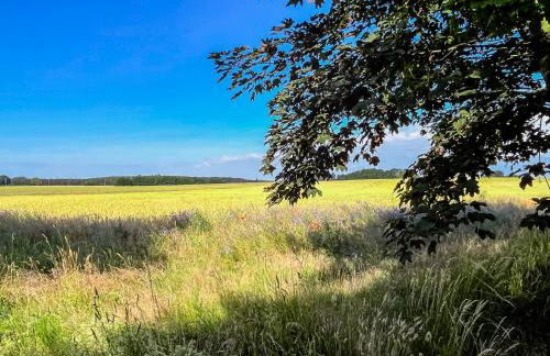 Lerchenhof in Reestow - Foto 64