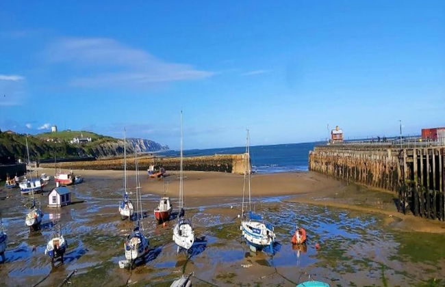 Apartment in Folkestone Near Sandgate Beach - Foto 37