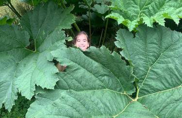 Stylish House with hot tub - Foto 39