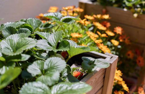 Apartamento Blanes playa (Costa Brava) - Foto 19