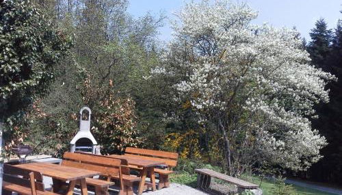 Apartment Ausgebaute Scheune by Interhome - Foto 3