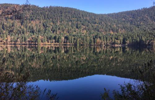 LE CHALET VOSGIEN bain nordique Kota Grill - Foto 40