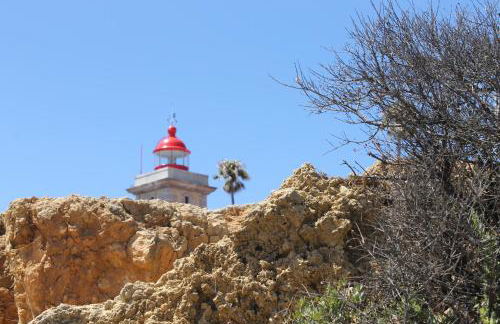 Casinha dos Avós - Foto 22