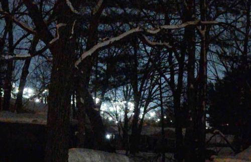 Bliss on the Lake - Photo 8