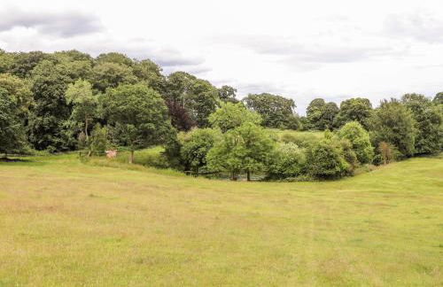 Cook's Flat - Foto 31