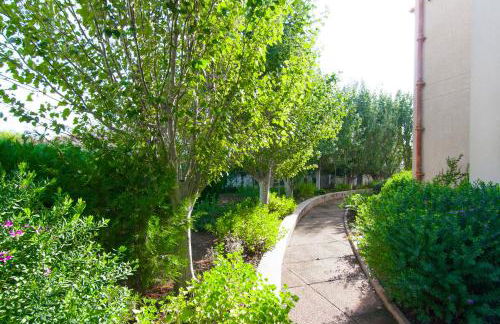 Codonyer A - Photo 25