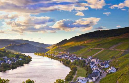 Ferienwohnung 1 Zimmer und Küche in Zell-Mosel - Foto 3