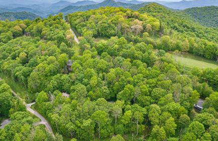 Deck w/ Forest Views, Ping Pong Blue Ridge Mtn Escape Ash Vale by Avantstay - Foto 74