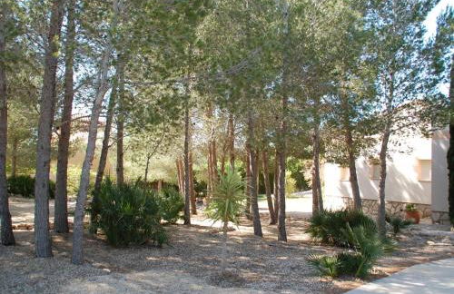 34 Sant Jordi - Foto 30