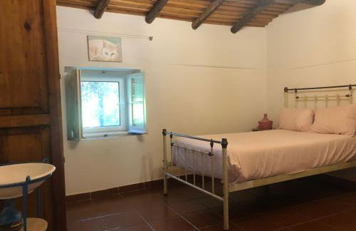 Monte do Rei Santo - Foto 3