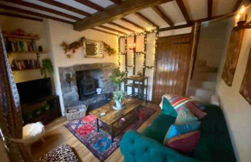 Maytree Cottage. Compact home in Mid Wales. - Foto 21