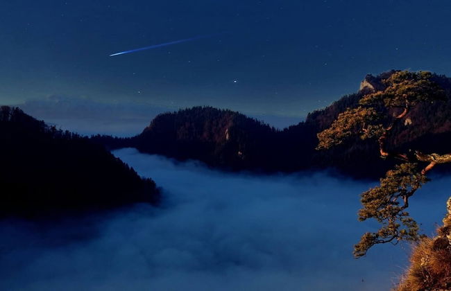 Jaworki Green Dream - Foto 52