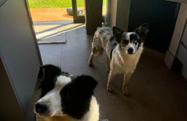 Casa de Campo Paraíso na canastra - Foto 21