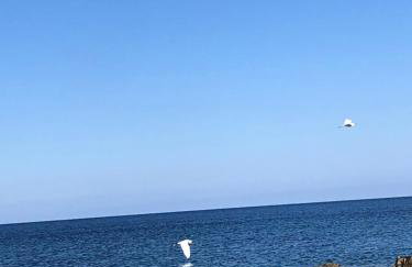 Casa Donatella a Isola - Foto 46