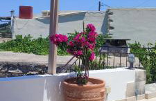 Charmante maison crétoise à Embrosneros - Photo 43