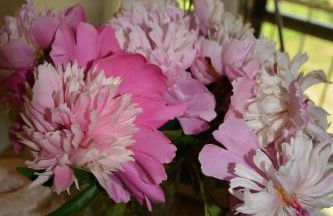 Villa Bellevue - Foto 41