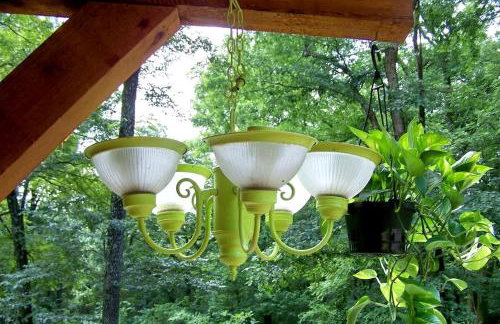 Hillbilly Chic Tiny House Near Nashville with WiFi, Kitchenette, Fire Pit & Trails - Foto 37