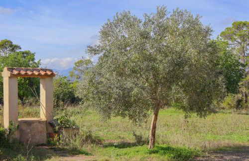 137 Finca Son Bernat ETV9442 by Mallorca Charme - Foto 24
