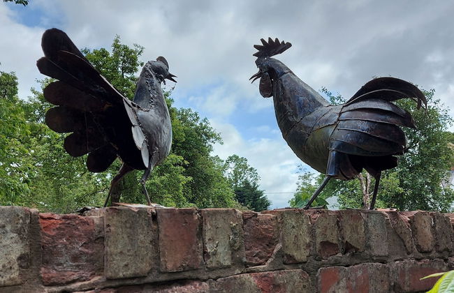 Saughall Mill Farm Cottage - Photo 74