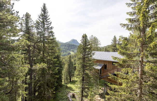 Chalet in Alps Near Ski Resort & Forest - Photo 25