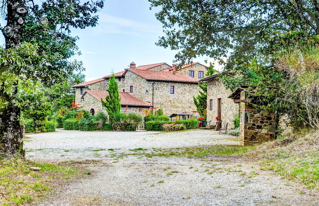 Pulcino n°3 - Foto 21