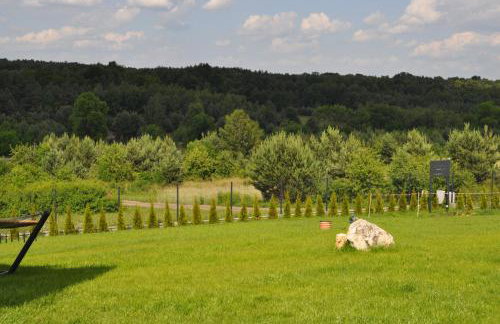 Okno na Jurę - Foto 28